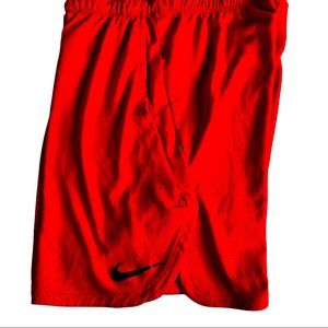 Nike Mens Dri-fit shorts, Size Medium